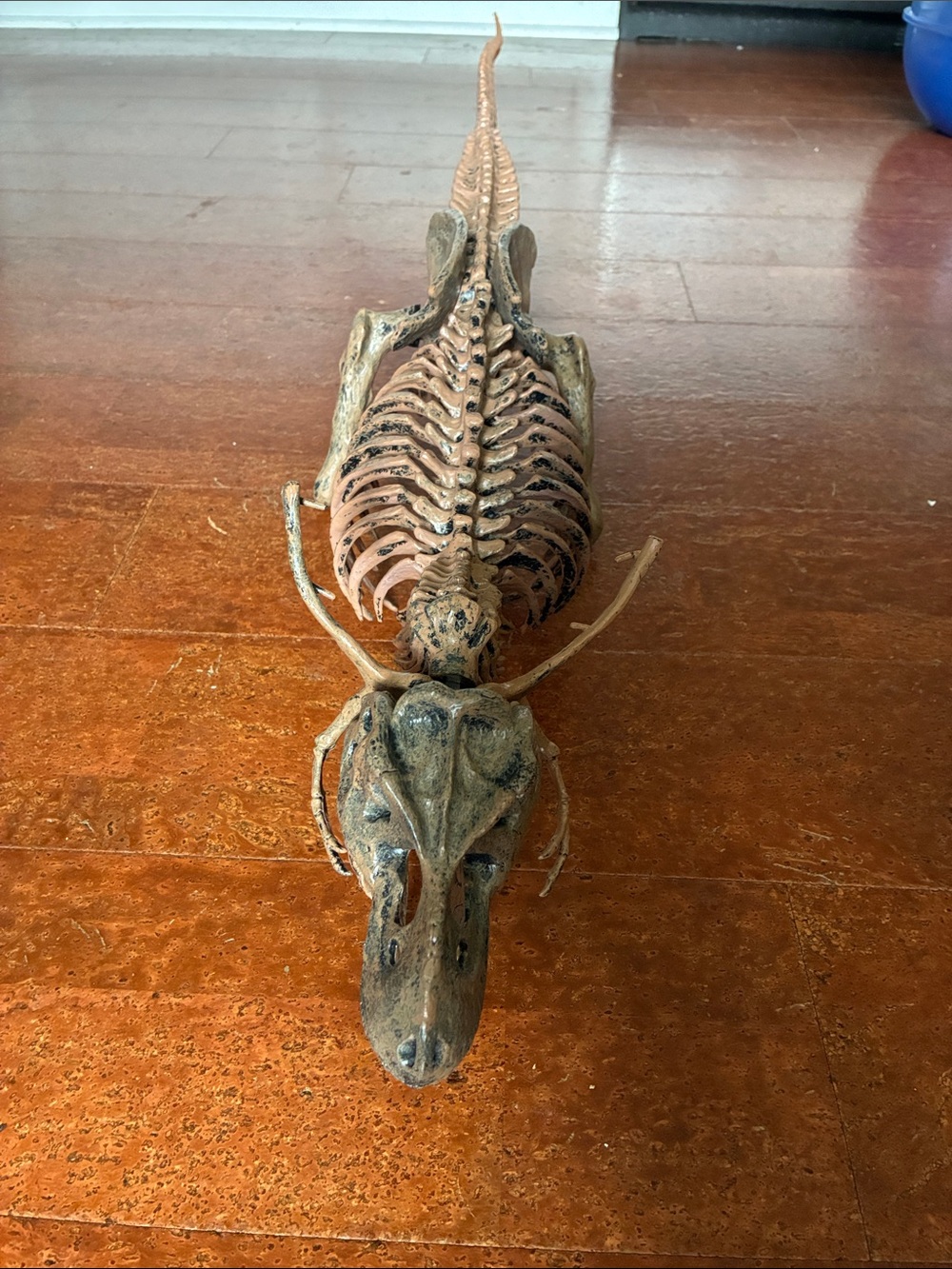 Perfect Condition Dinosaur Model. All Pieces Come Apart Easy to Assemble.